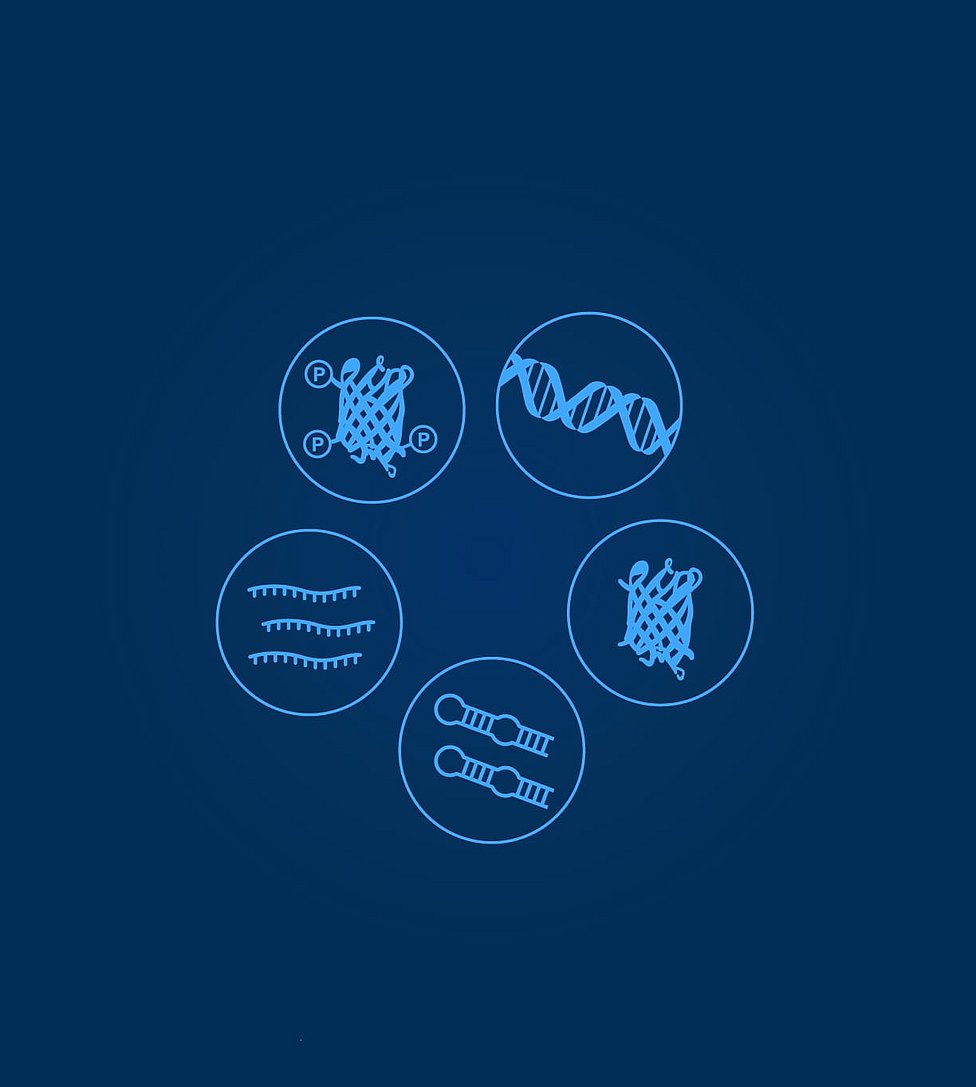 Multi-omics_Data_Generation